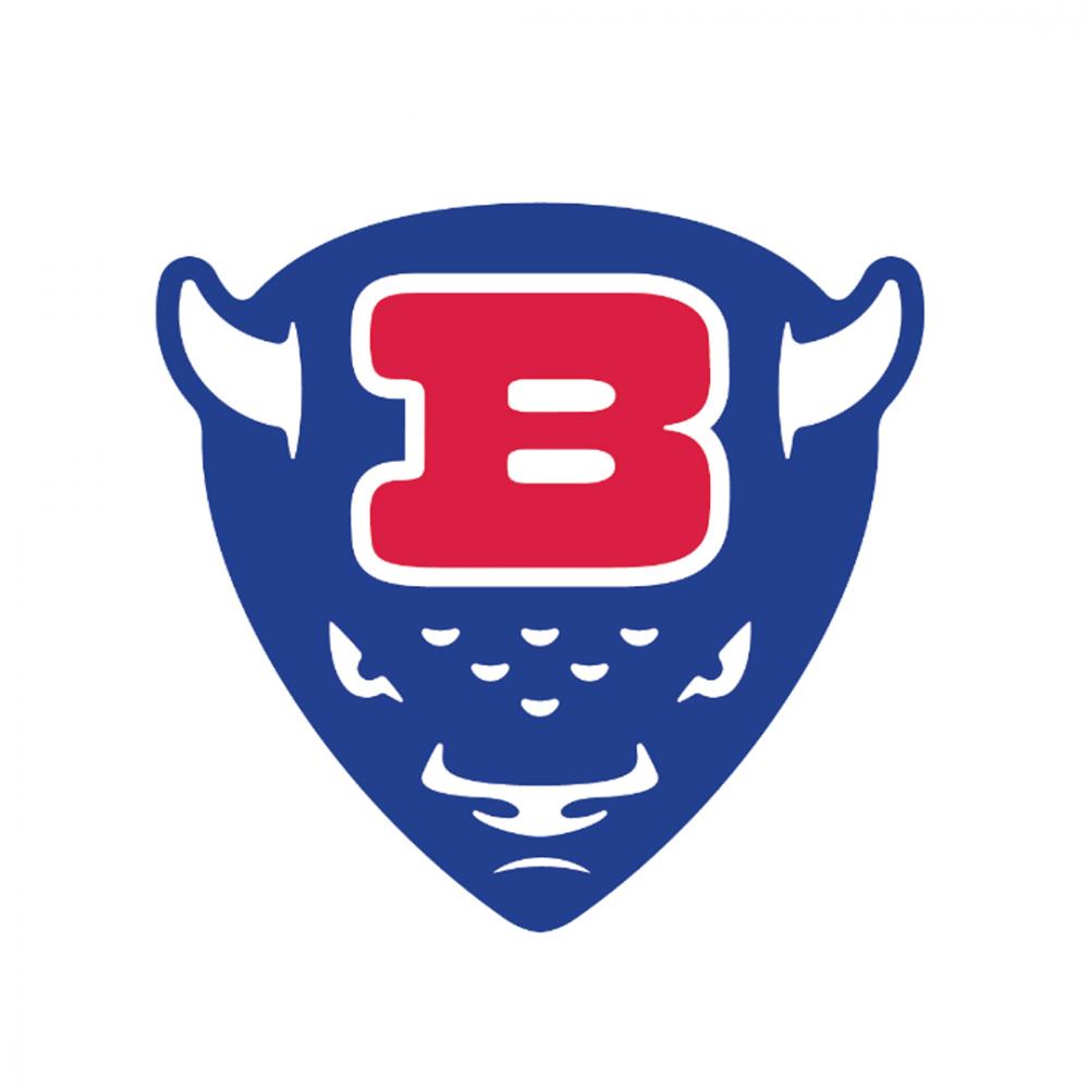 Creative rebrand of the Buffalo Bills NFL football team