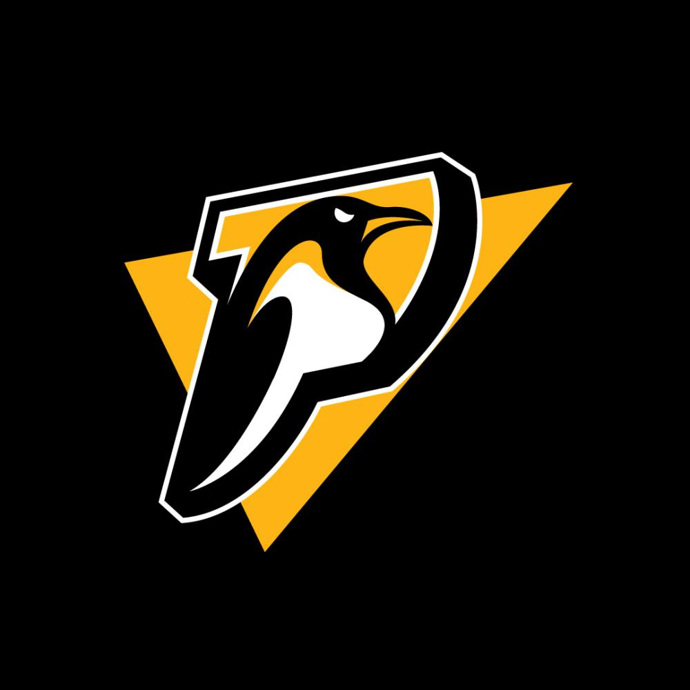 Creative rebrand of the Pittsburg Penguins NHL hockey team